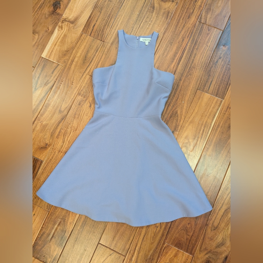 Elizabeth & James  Light Purple Dress Size 2 Euc Worn once